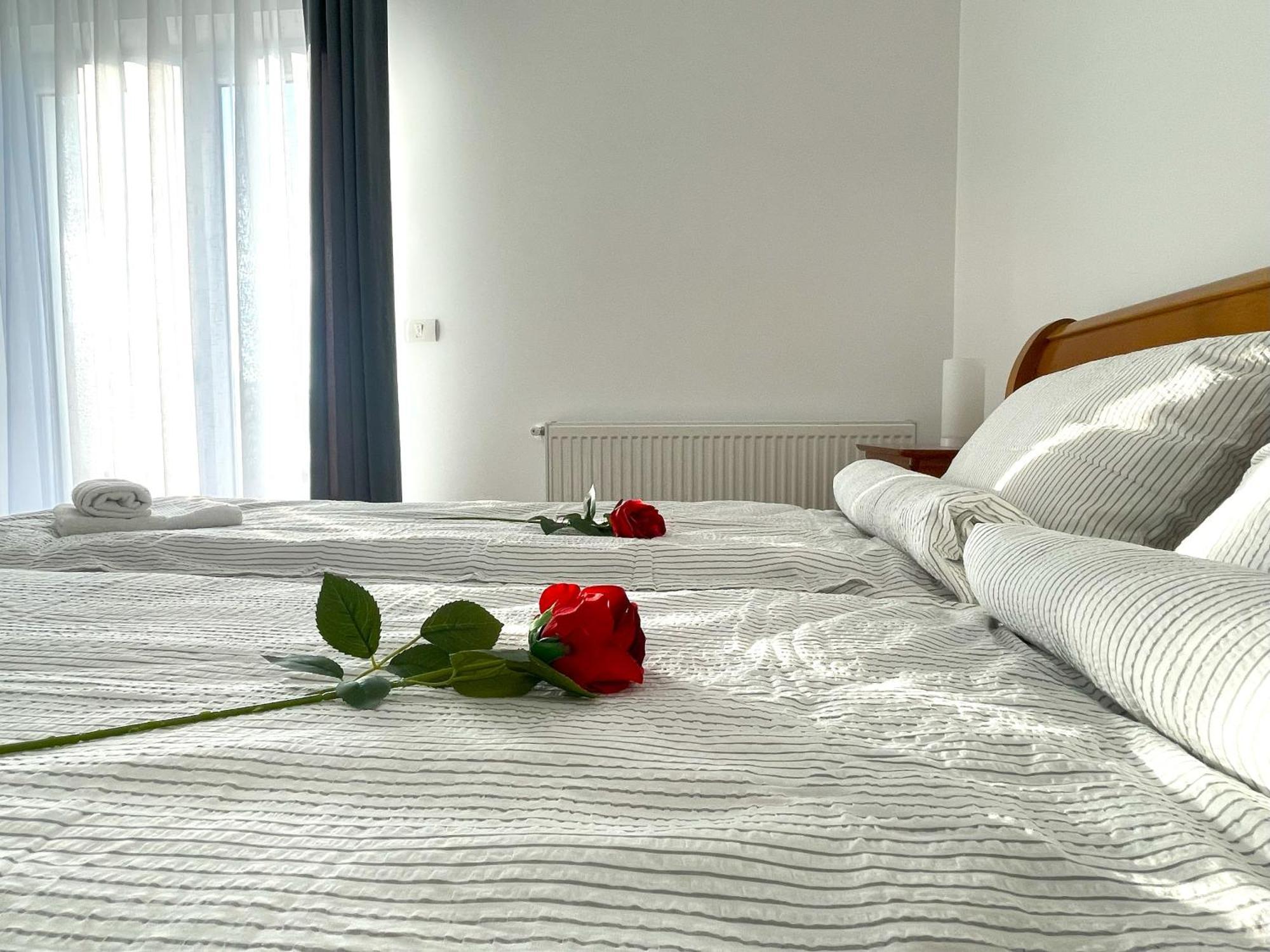 Apartament Bella Vista *